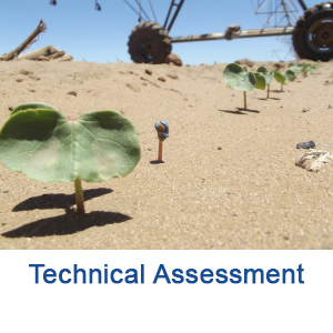  Technical Assessments